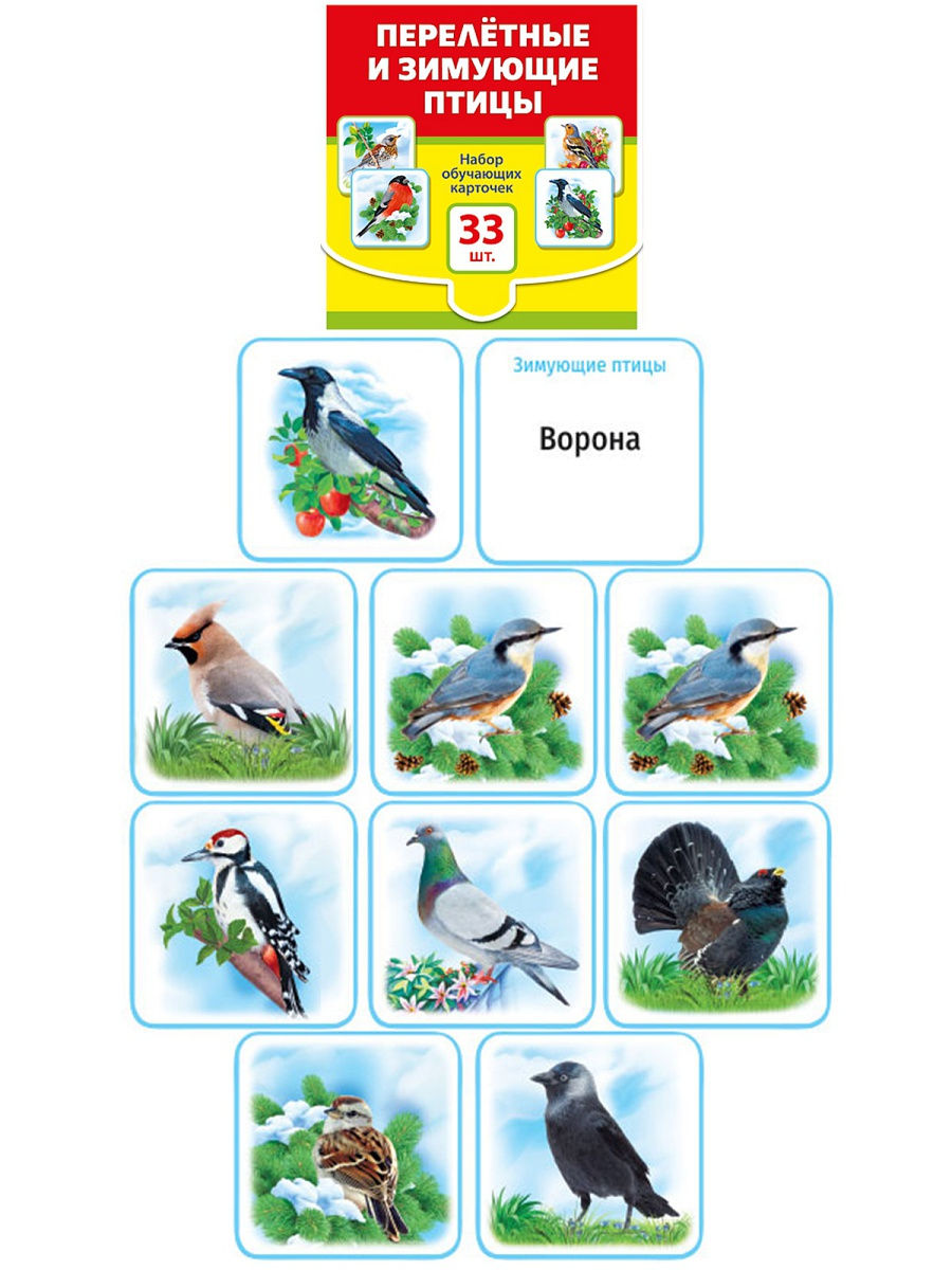 Перелетные и зимующие птицы карточки