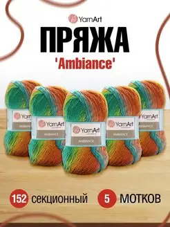 Пряжа Ambiance Ярнарт Амбианс секционная 5шт 100г