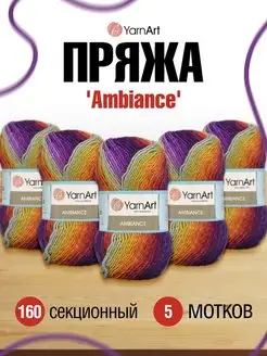 Пряжа Ambiance Ярнарт Амбианс секционная 5шт 100г