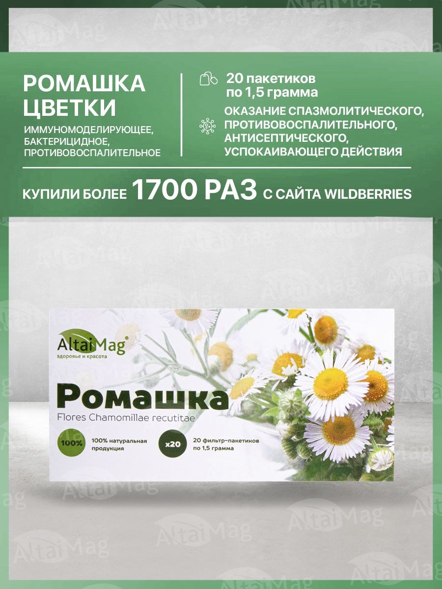 Ромашки волгоград. Ромашки цветки в пакетиках. Ромашка аптечная в пакетиках. Ромашка аптечная букет. Ромашка аптечная в пакетиках инструкция по применению.