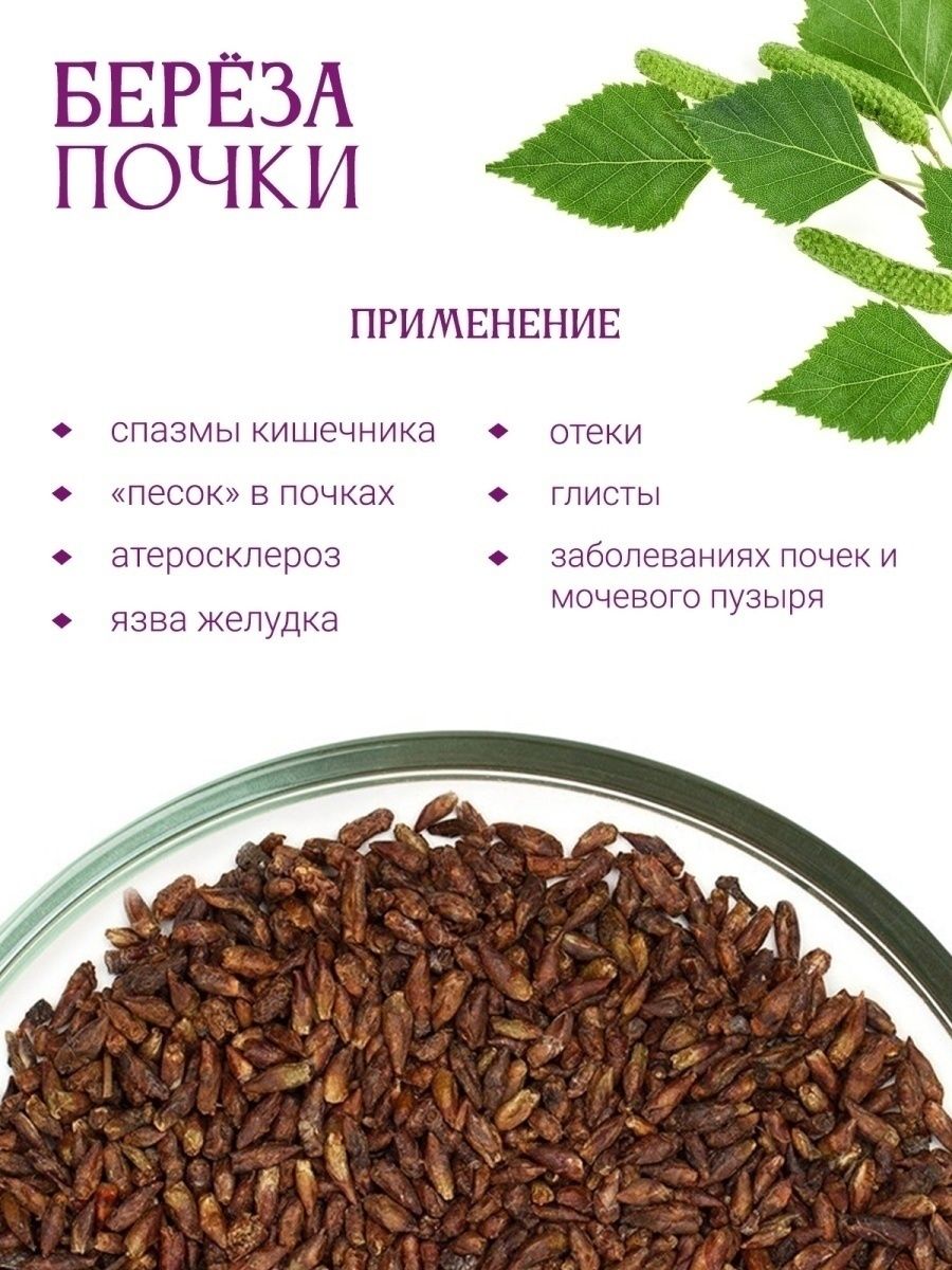 Березовые почки. Настойка березовых почек. Почки березы.