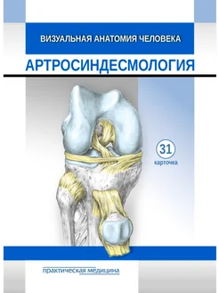 Визуальная анатомия человека. Карточки. Артросиндесмология