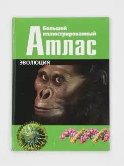 Большая книга дошкольника