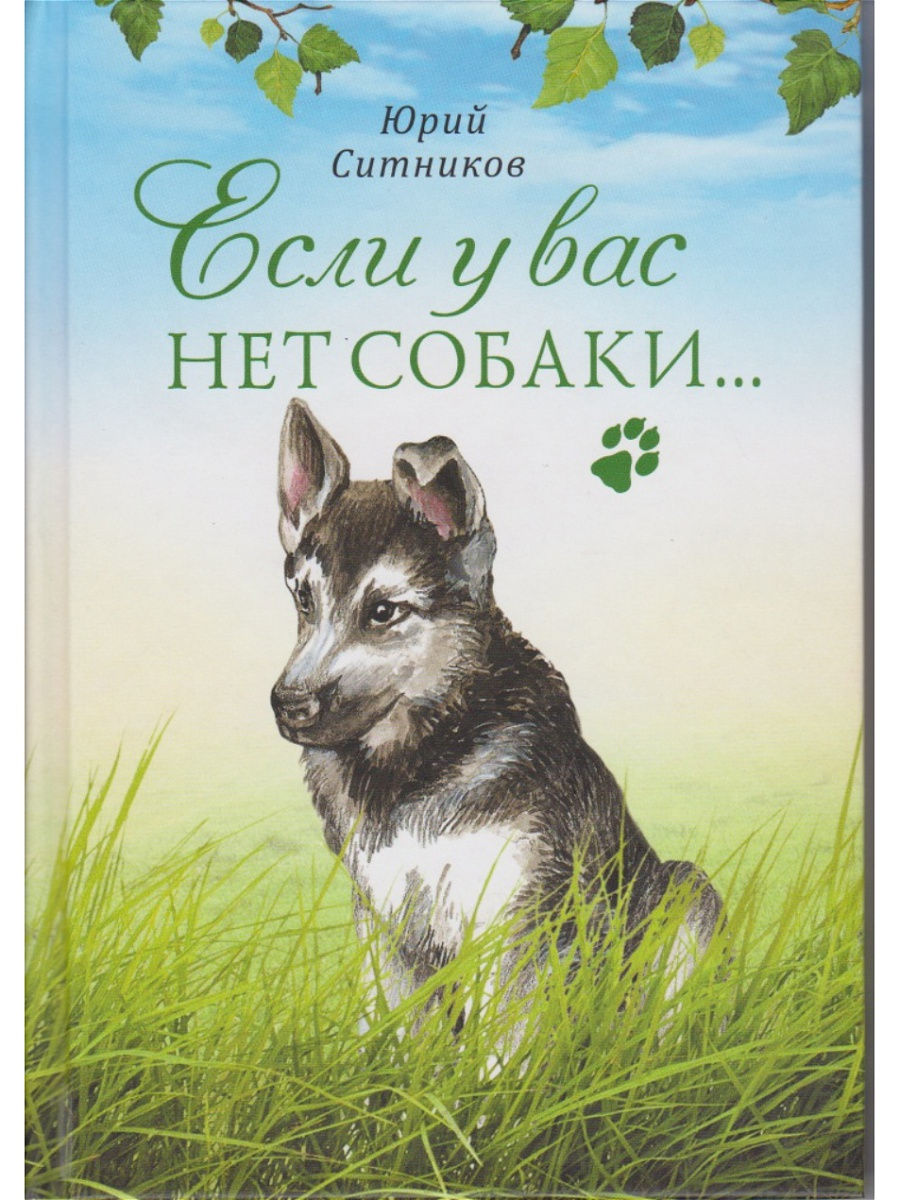 Книги о собаках. Книги про собак. Книга с собакой на обложке. Книги о собаках и Автор. Книги про собак современные.