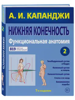 Нижняя конечность Функциональная анатомия (обновленное изд)