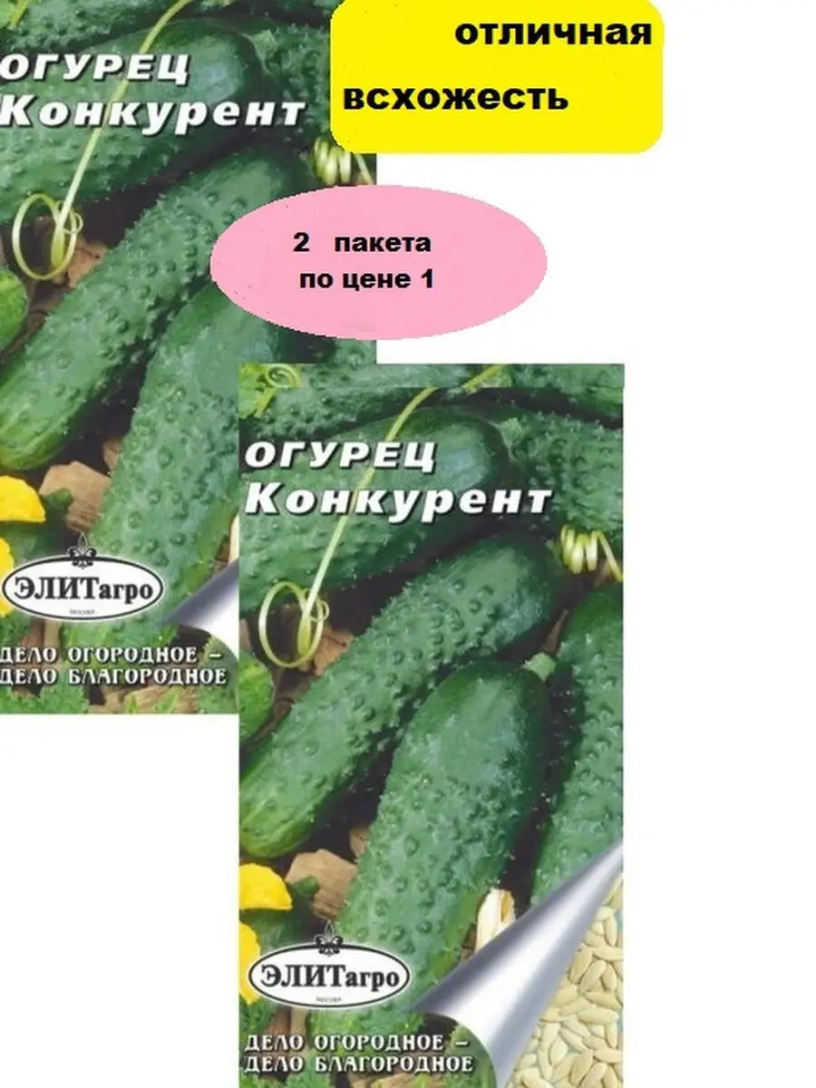 Огурец конкурент описание отзывы фото. Огурец конкурент (0,3г) "первая цена". Огурец конкурент побеги. Семена поиск семена огурец конкурент,. Огурец конкурент описание сорта фото отзывы.