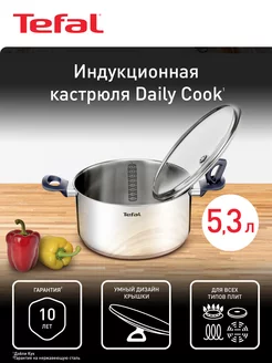 Кастрюля Daily Cook G7124614, 24 см, с крышкой