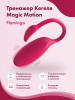 Вагинальный стимулятор Flamingo бренд Magic Motion продавец Продавец № 73804