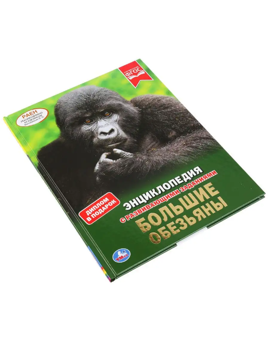 энциклопедия про обезьянку 3 класс. обезьяна из энциклопедии. энциклопедия про обезьяну макаку. энциклопедия про обезьянку 3 класс. обезьяны.