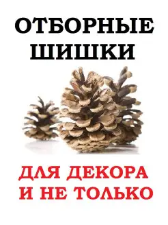 Сосновая шишка для декора рукоделия поделок обработаны 20 шт