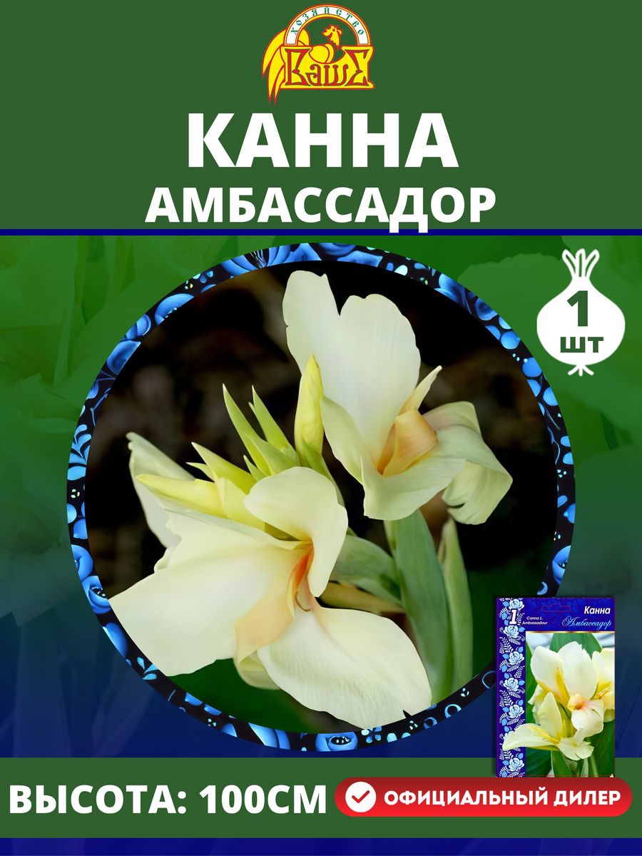 Канна чемпион (1 шт.)