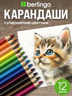 Цветные карандаши для рисования, мягкие, 12 цветов