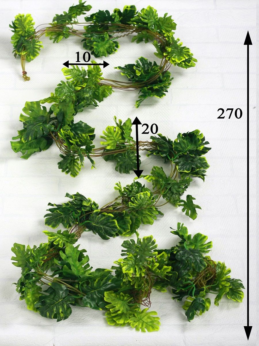 Искусственные лианы. Монстера Лиана. Монстера Лиана вьющаяся. Монстера лиановидная искусственная. Монстера Лиана искусственная Плантаго.