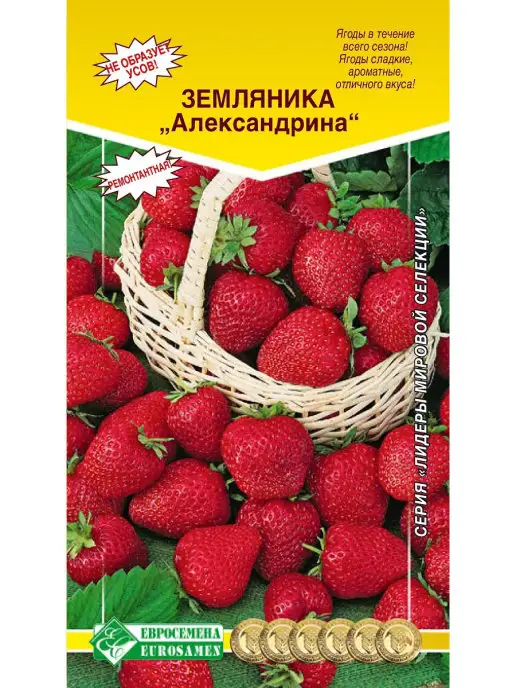 Семена Земляника Александрина 0,04 гр. Аэлита 142673956 купить за 139 ₽ винтернет-магазине Wildberries