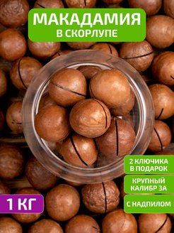 Орех макадамия в скорлупе 1кг. Макадамия 1 кг. Макадамия цвет. Орех макадамия фото с ключиком. Макадамия орех вредные свойства.