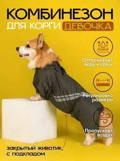 Грязезащитный комбинезон для Корги Самка