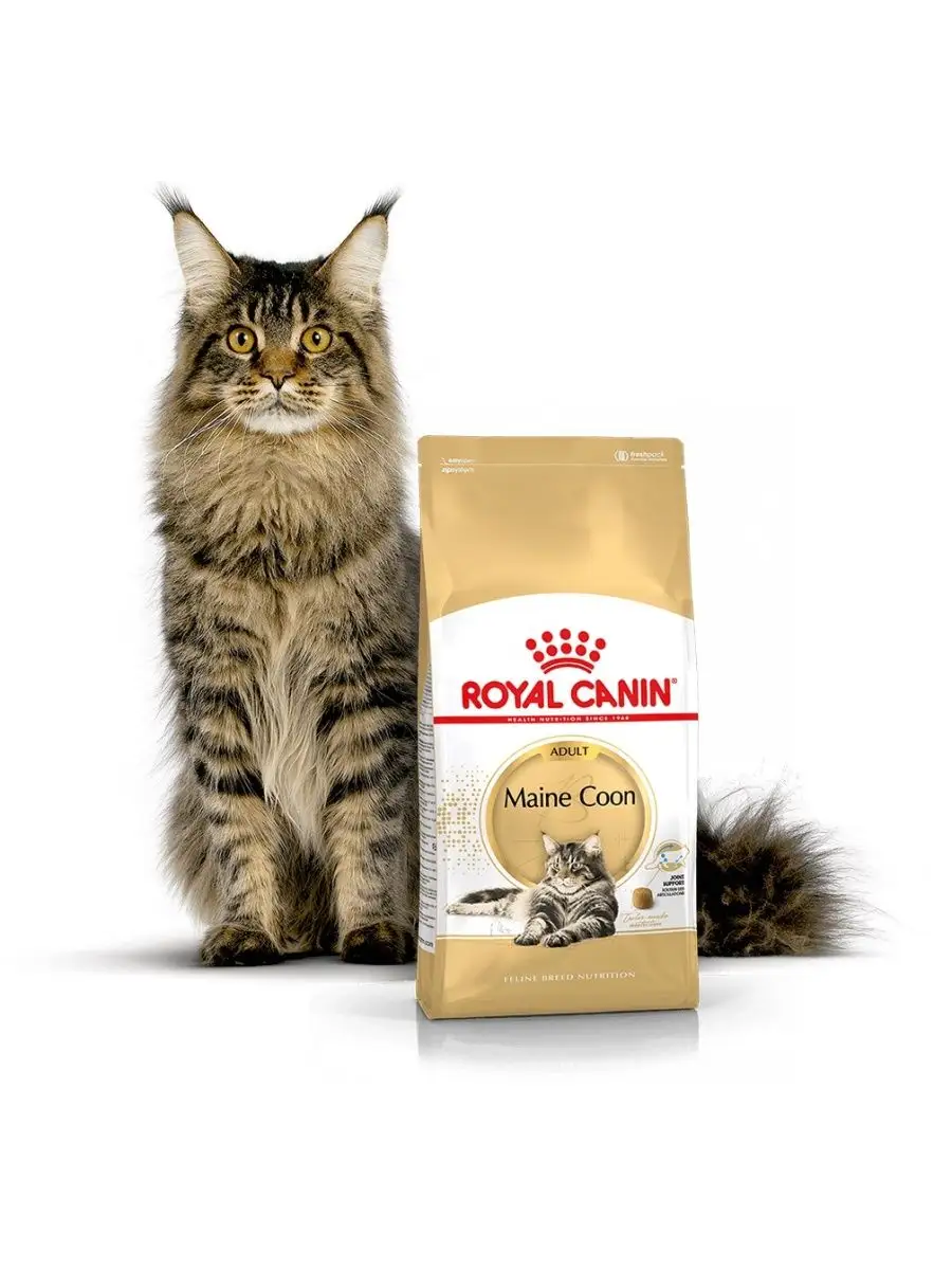 Royal Canin Maine Coon 2 Кг Купить