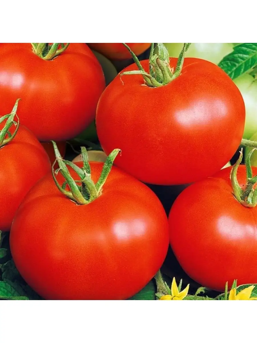 Венгерские kecskeméti 549 - кечкемети 549. Ящик для помидоров деревянный. Помидоры где дешевле. Томат амаури f1. Семена томатов джекпот.