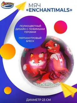 Мяч детский игровой резиновый для девочек Enchantimals