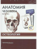 Анатомия человека. Остеология. КАРТОЧКИ бренд Практическая медицина продавец Продавец № 67946