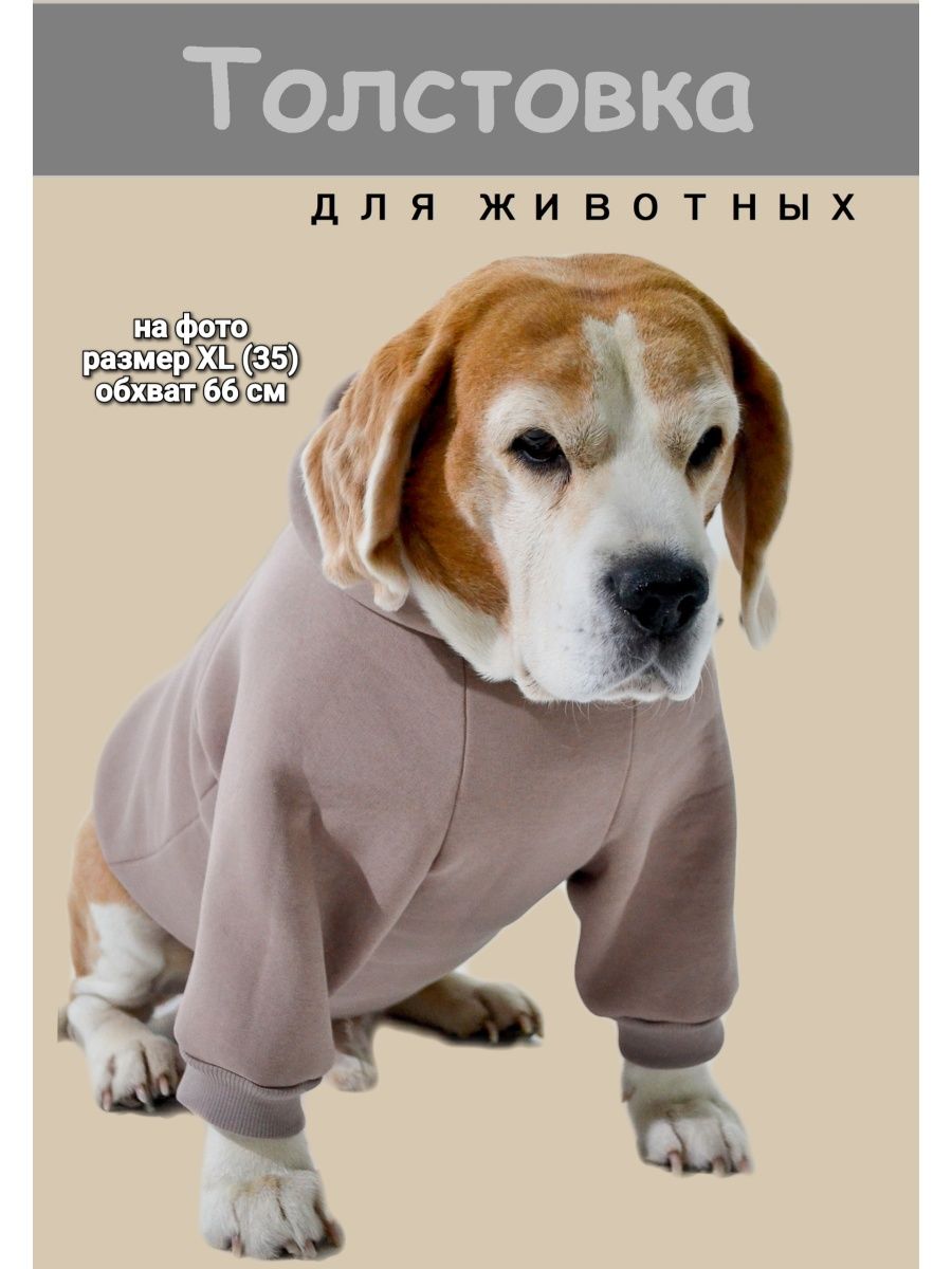 The Evolution Of одежда для собак