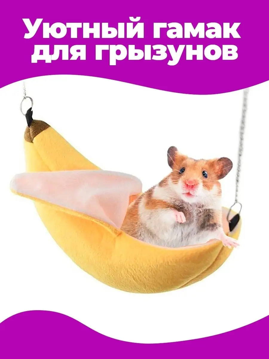 Гамак для крысы – лучший подарок грызуну и его хозяину