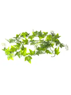 Декоративное растение для террариумов "Ivy Vine", 200см