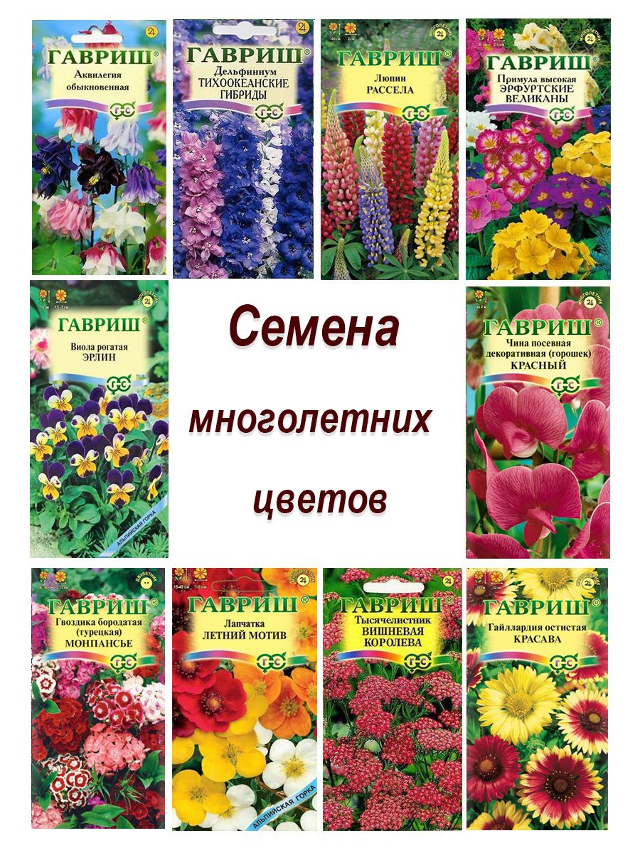 Семена многолетних цветов для сада Гавриш 18814987 купить винтернет-магазине Wildberries