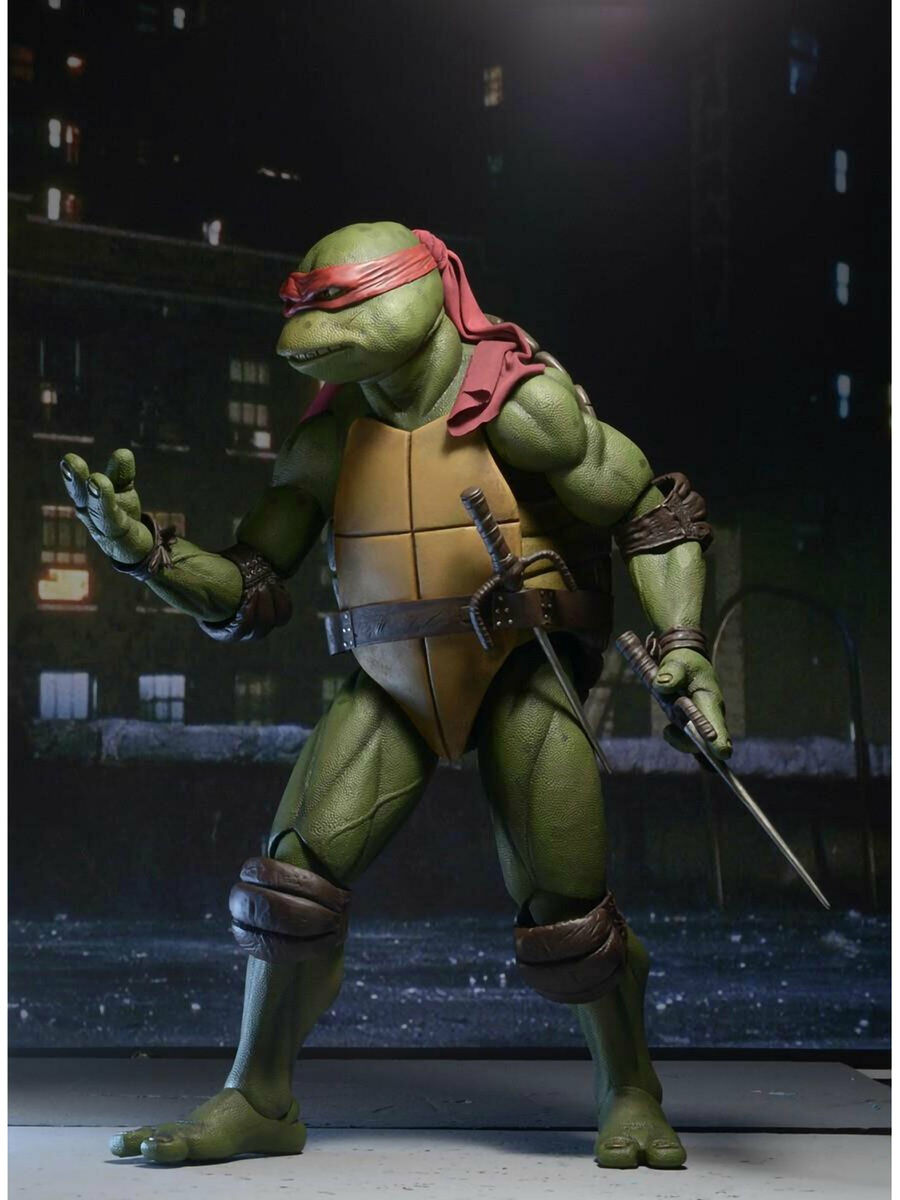 raphael turtle figure