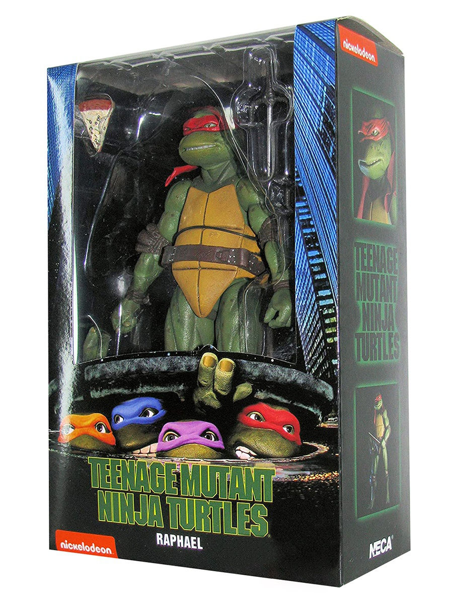 raphael turtle figure