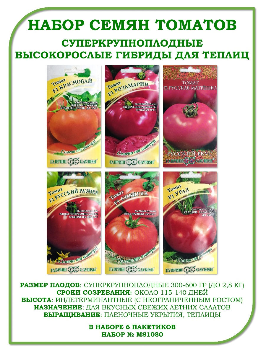 Голландские семена томатов для теплиц каталог с ценами и фото 2022
