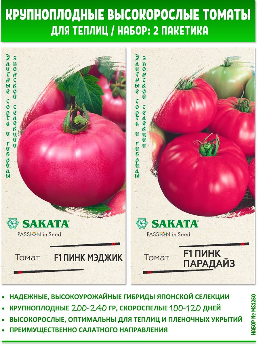 Семена помидоров российских селекционеров для теплиц