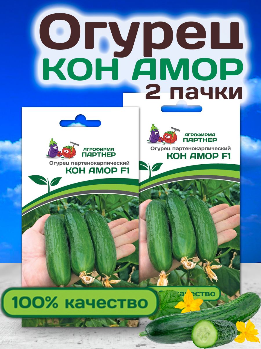 Огурец кон амор