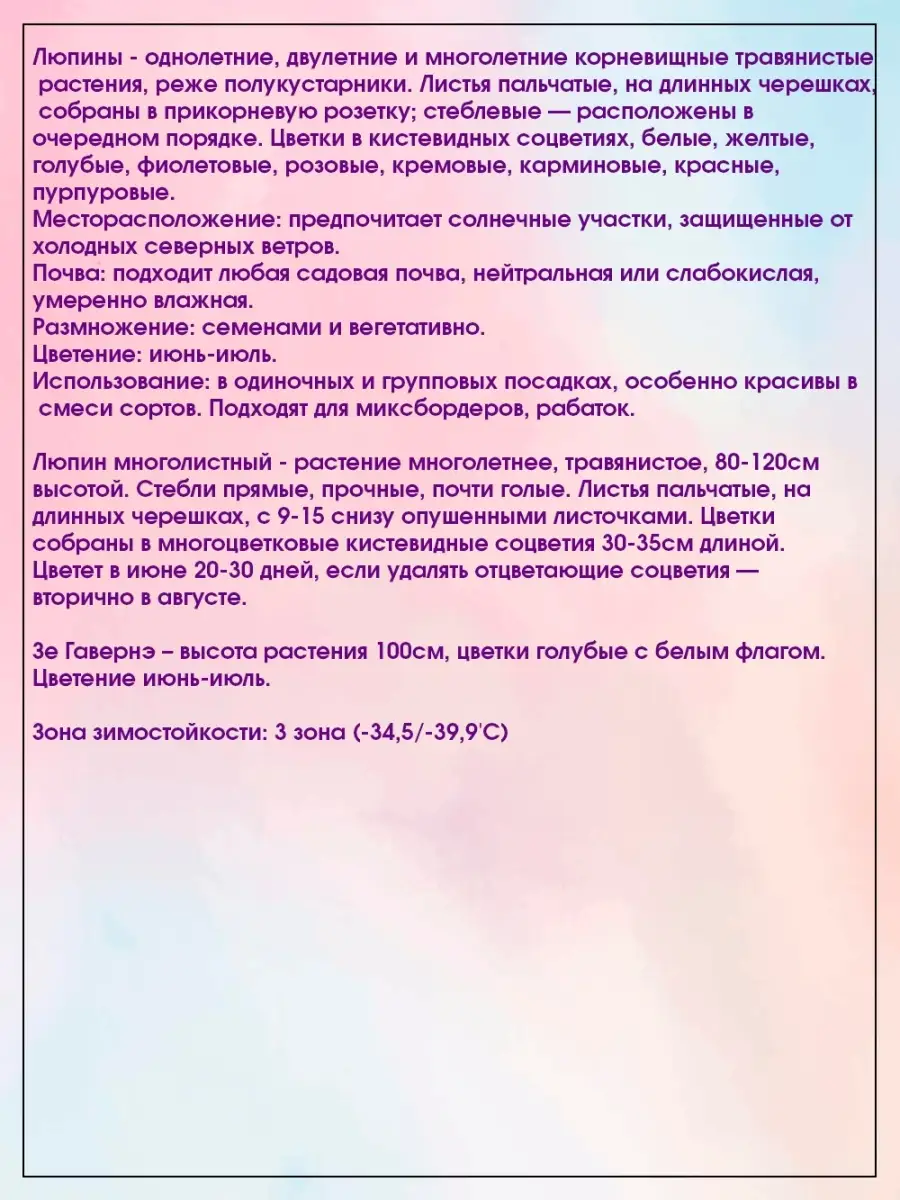 Люпин многолистный Зе Гавернэ Агрохолдинг Поиск 19179660 купить в  интернет-магазине Wildberries