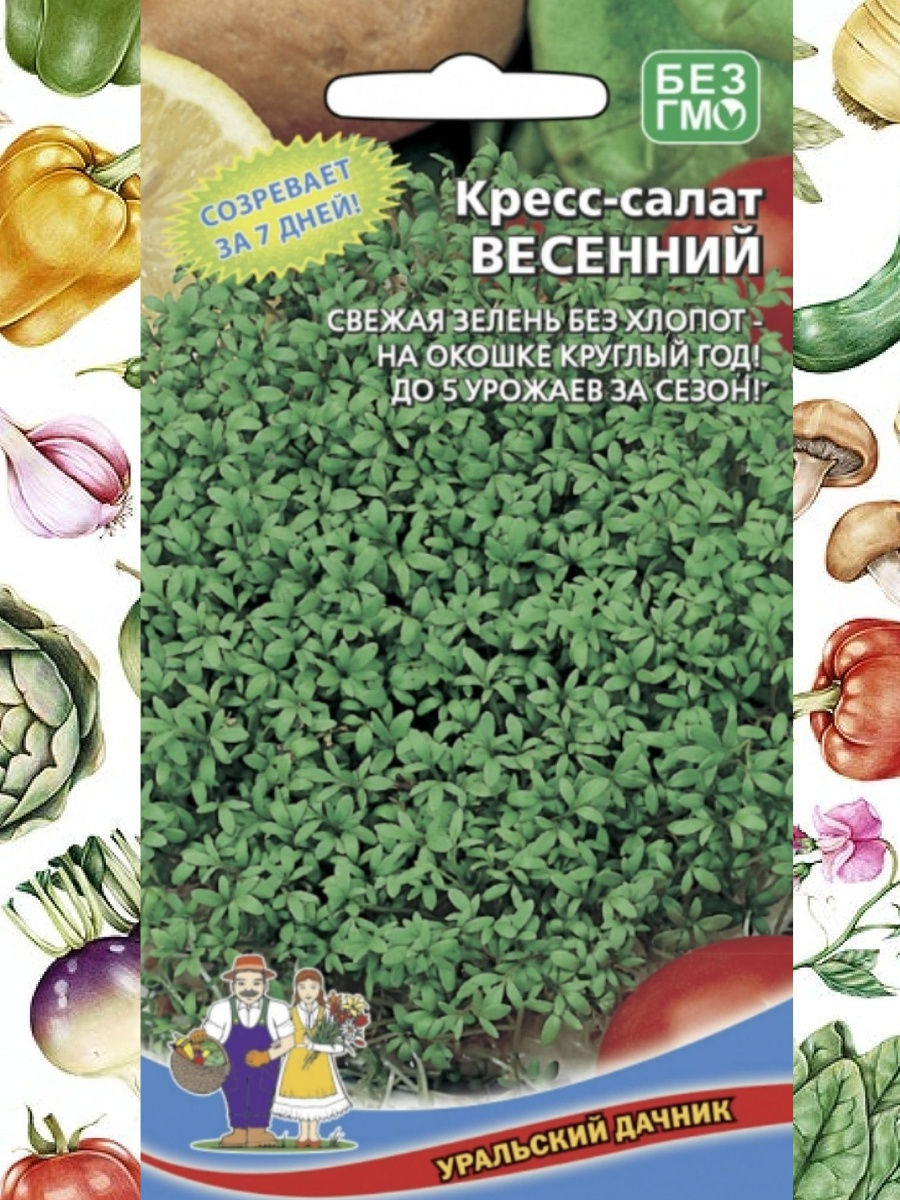 Уральский дачник каталог. Кресс-салат весенний. Кресс-салат весенний описание. Кресс салат Ореховый семена Уральский Дачник. Салат палитра Уральский Дачник.