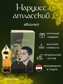 Нарцисс атласский абсолют