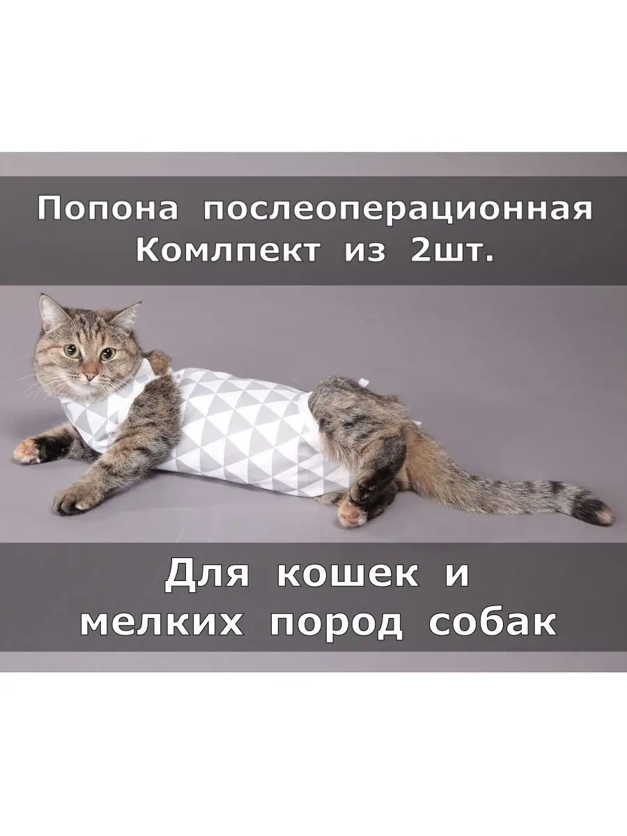 Попона для кошки — важный элемент гардероба для защиты домашнего любимца