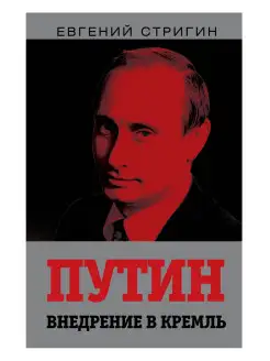 Стригин Е.М. Путин. Внедрение в Кремль