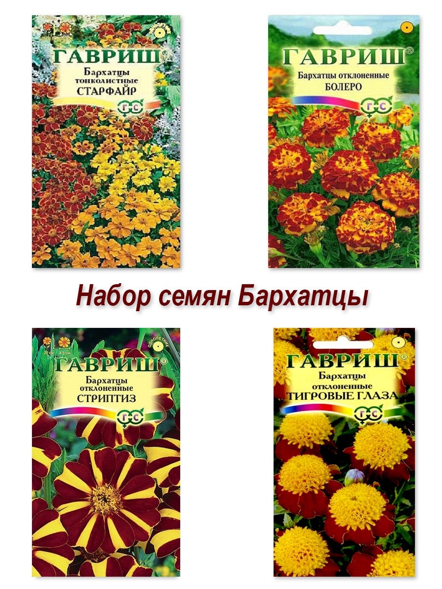 Картинка семена бархатцев