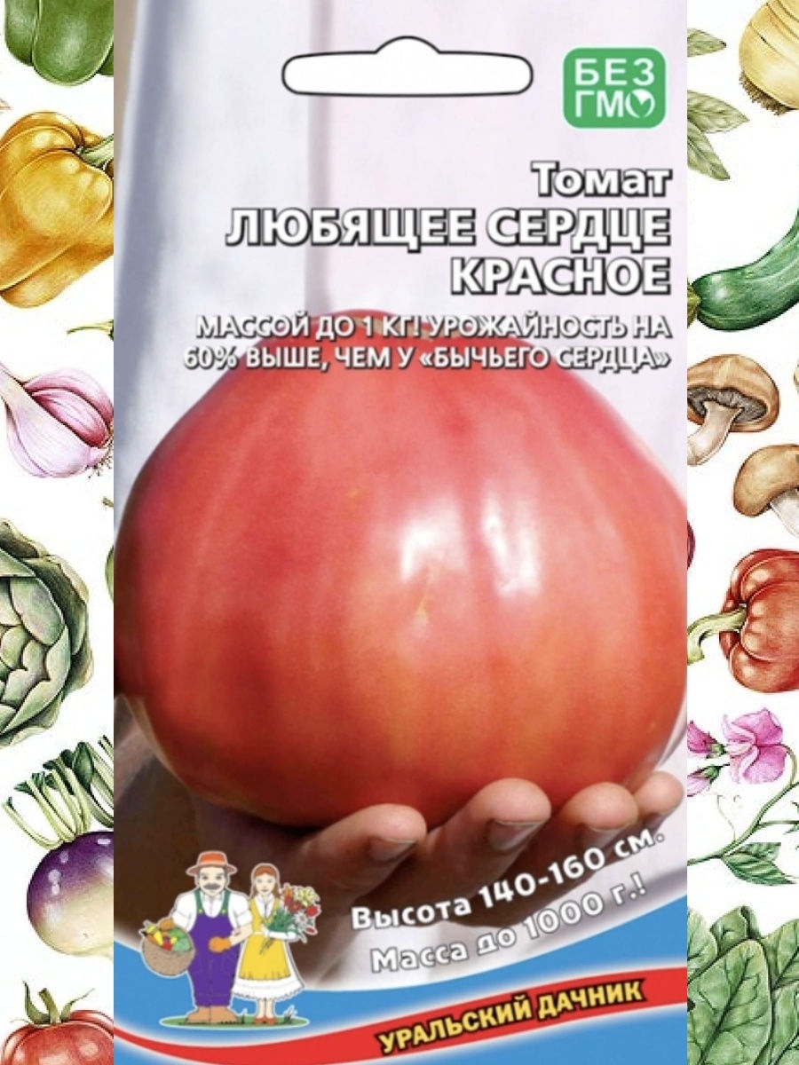 Томат любимый праздник описание сорта отзывы. Томат любящее сердце красное Уральский Дачник. Любимый томат. Томат любящее сердце красное. Томат любимый праздник.