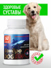 Хондопротектор для собак Хондродог 50+ 60 капсул бренд Серебряный След продавец Продавец № 48797