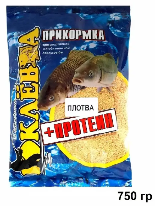 Клев рыбы в Вытегре: где и как поймать?