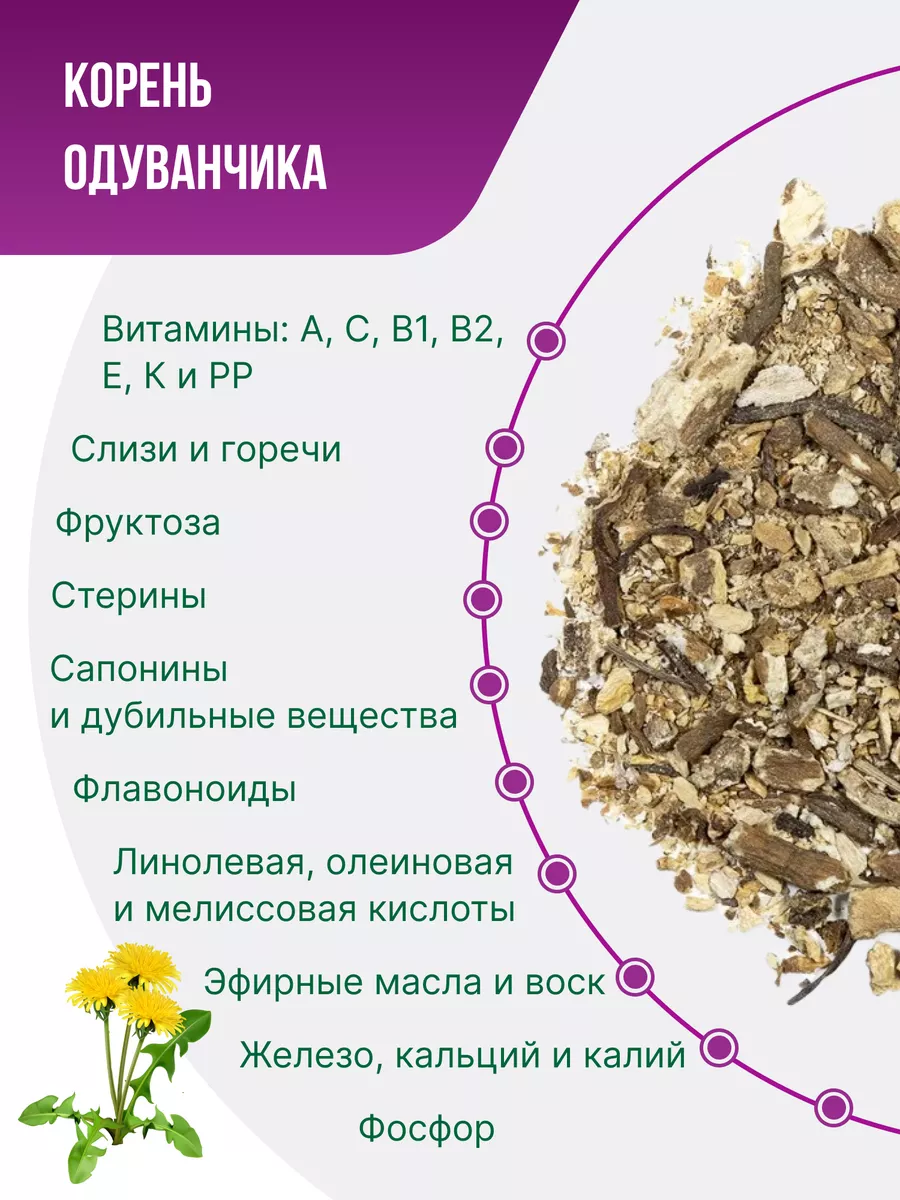 Корень Одуванчика Купить В Аптеке Цена