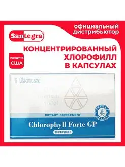 Концентрированный хлорофилл в капсулах Chlorophyll Forte GP