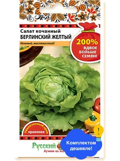 Салат кочанный берлинский желтый выращивание из семян