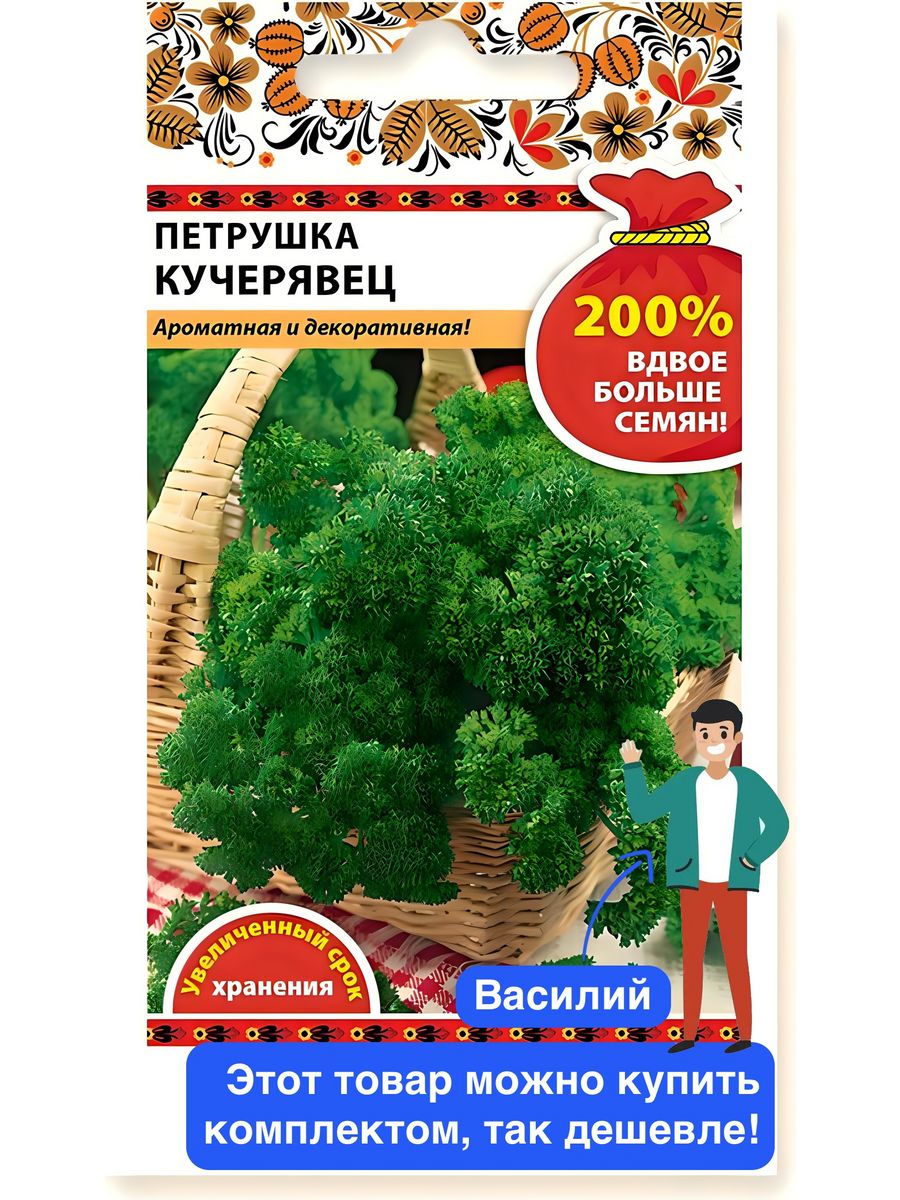 Петрушка кучерявец фото