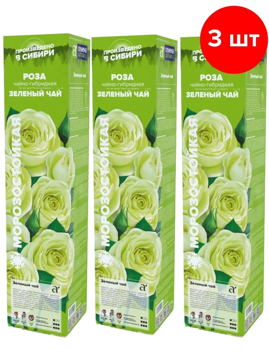 Саженцы цветов Роза Зеленый чай 3 штуки в коробке Семена Алтая 21345399 купить в интернет-магазине Wildberries