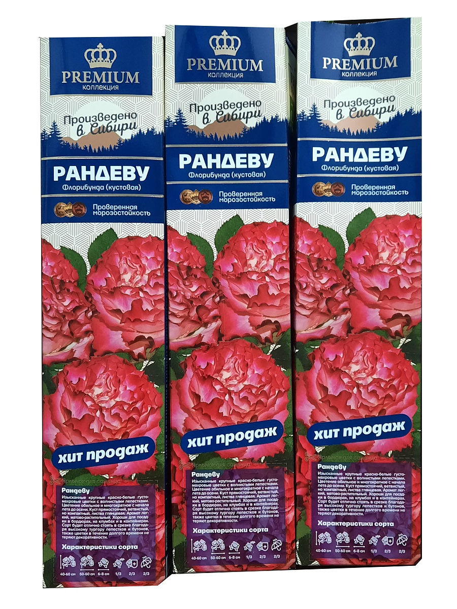 Алтайские саженцы роз