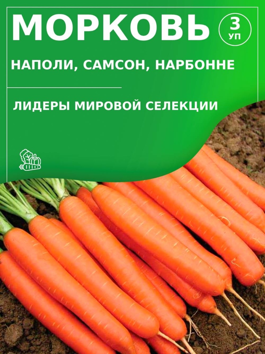 Агрофирма поиск. Морковь Нарбонне (). Морковь Наполи. Селекция моркови. Элитные семена мировой селекции.