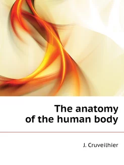 The anatomy of the human body